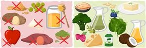 Keto Daily Meal Plans